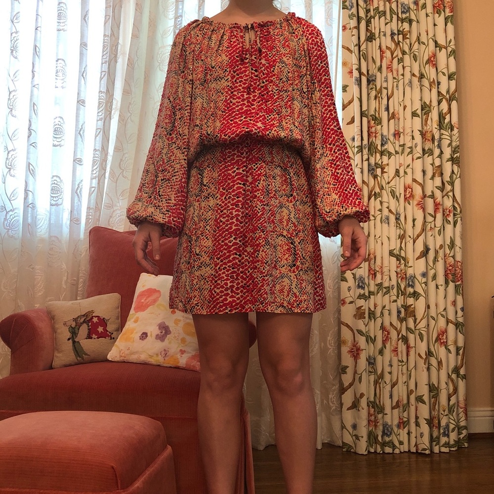 Parker blouse/dress